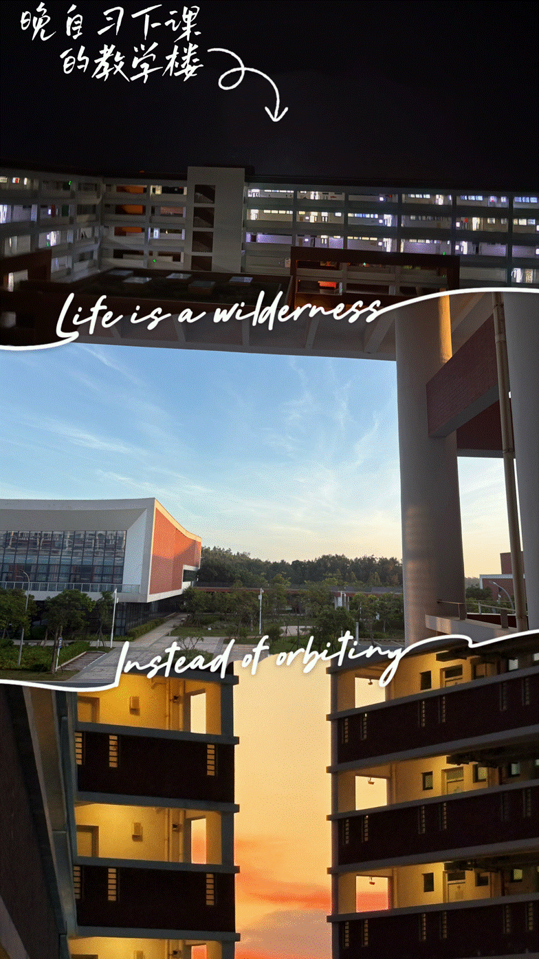 852504102陈璐第2张(1)